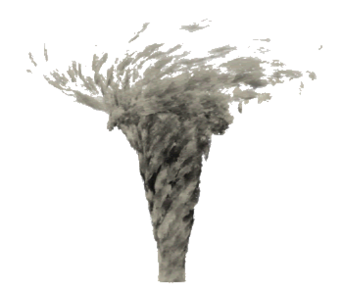 Tornado